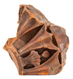 original historically important red slip terra cotta lunette fragment salvaged by richard nickel from adler and sullivan's rosenfeld building (1881)