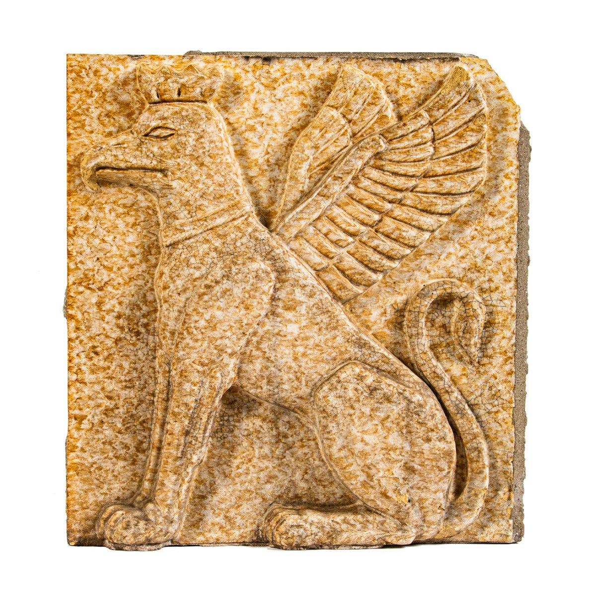 original walter t. bailey-designed knights of pythias building mottled terra cotta panel of winged griffin