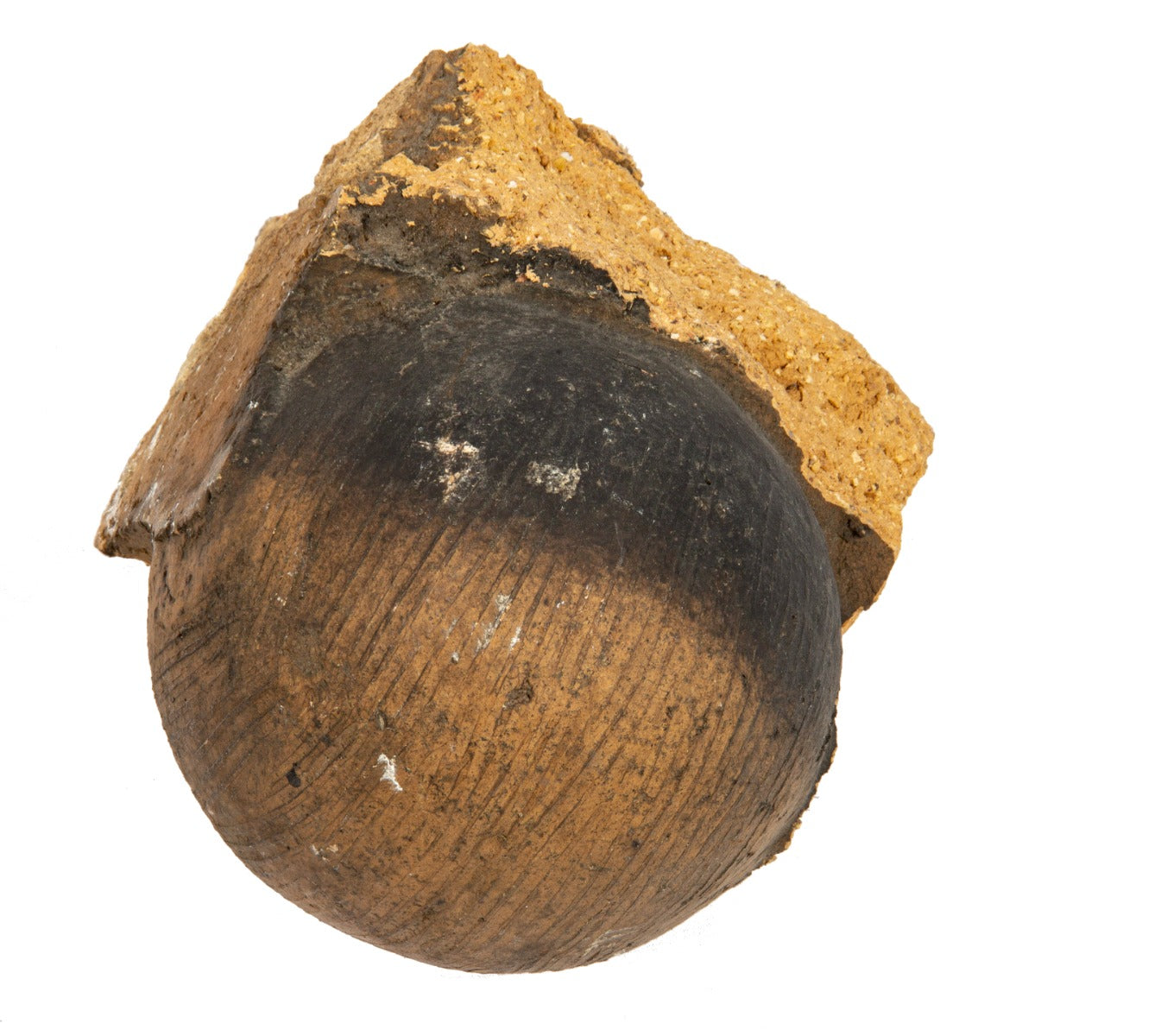 frank lloyd wright-designed francisco terrace apartment building buff-colored terra cotta cornice fragment