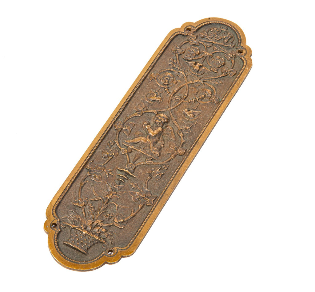unusual and rare 19th century finely cast victorian-era cast bronze residential swinging door push plate with nicely aged patina