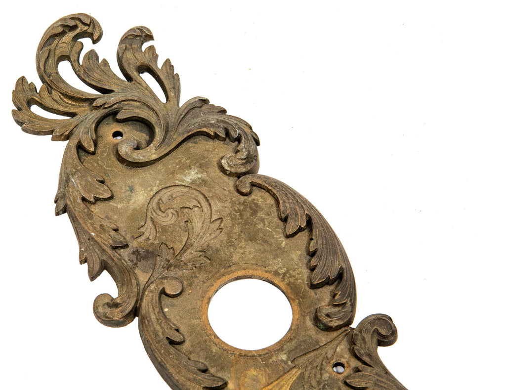 hard to find early 20th century cast bronze rococo revival style chicago residential entrance door backplate with nicely aged patina