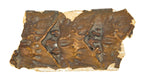 original louis sullivan-designed interior cast plaster auditorium building (1889) border fragment