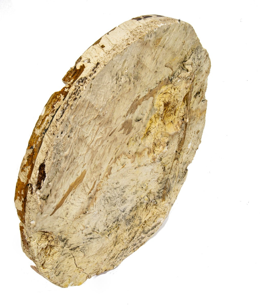 largely intact polychrome enameled cast plaster interior granada theater pilaster rondel or medallion featuring a spanish conquistador in relief