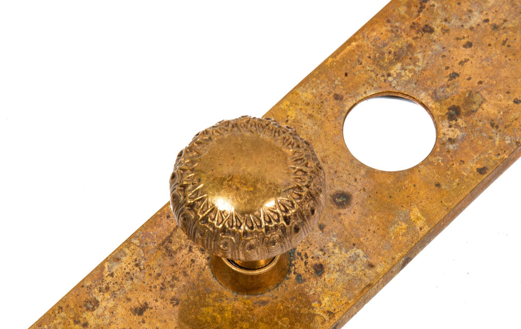 oversized heavy cast bronze sullivanesque style "thistle" pattern entrance door backplate and matching doorknob