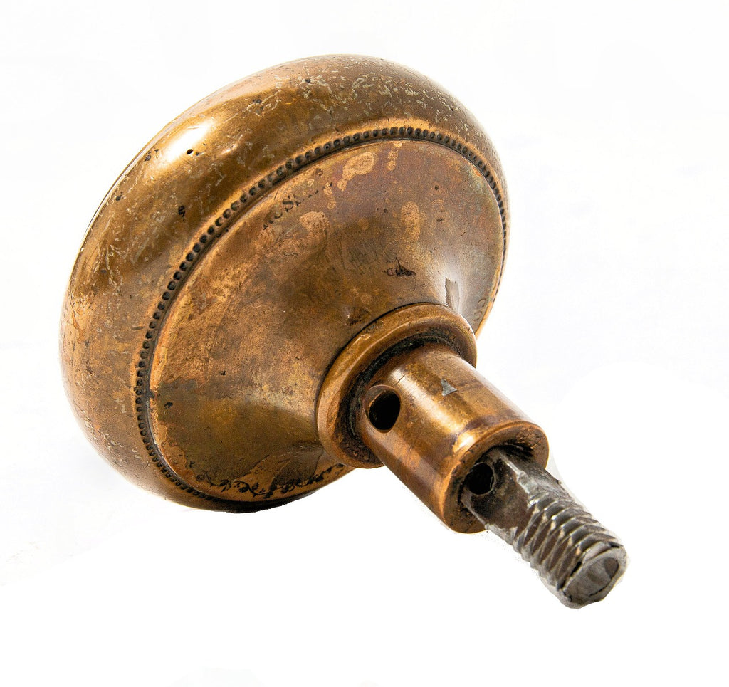 rare 1870s ludwig kruezinger-designed cast bronze residential entrance lion head doorknob