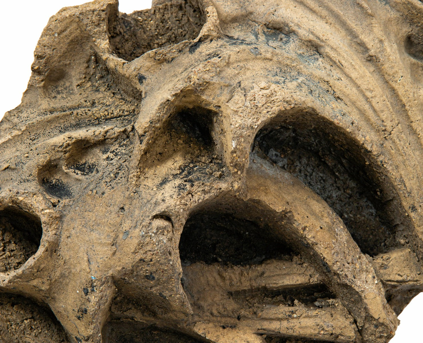 original 1894 chicago stock exchange exterior buff-colored terra cotta column capital fragment