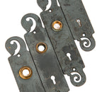 four matching passage size historically important 1888 rookery building office doorknob backplates with bower-barff finish
