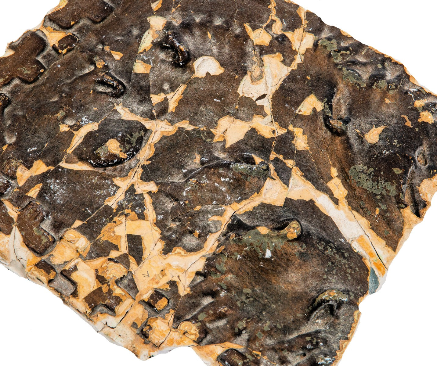 original louis h. sullivan-designed painted cast plaster panel fragment salvaged from 1890 auditorium theater lobby entrance