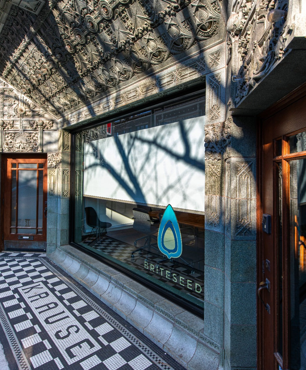 original 1922 spray-glazed louis h. sullivan-designed krause music store terra cotta storefront window surround assemblage