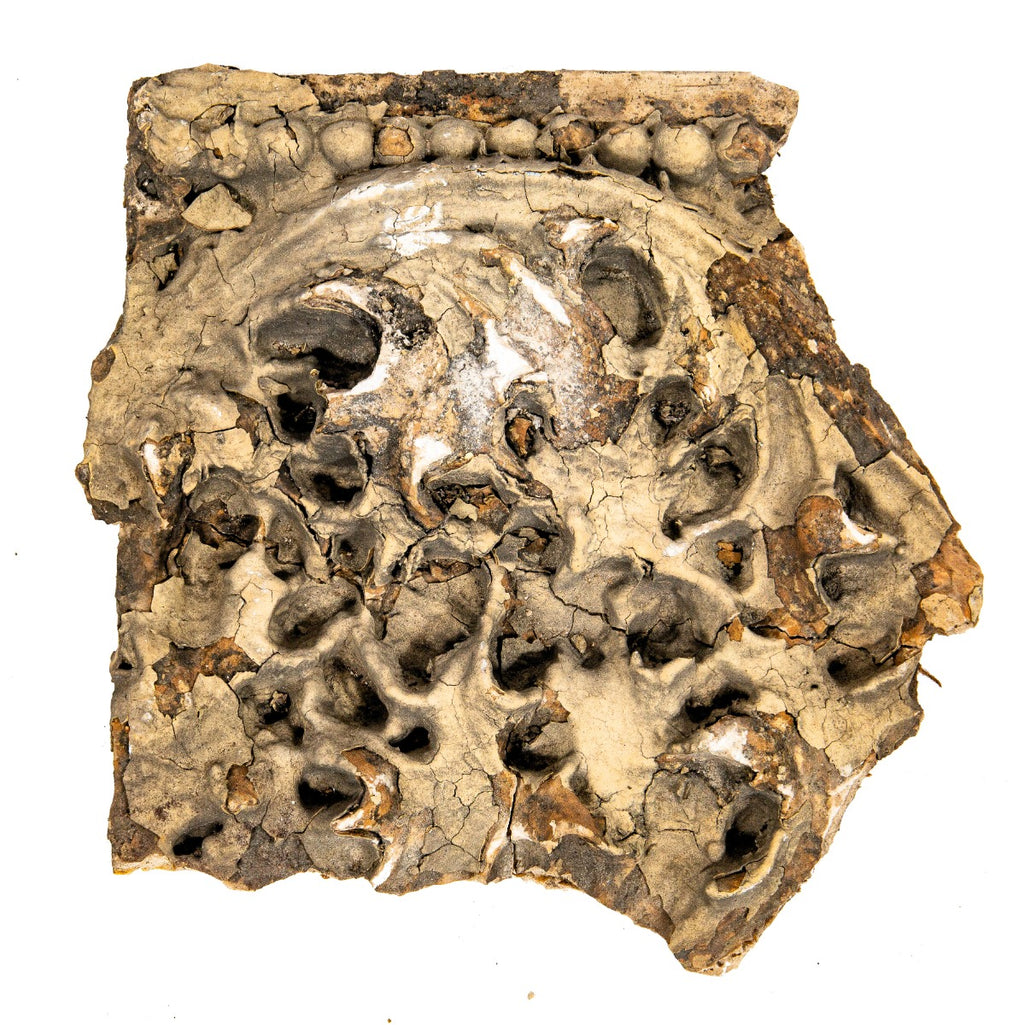 original 1892 frank lloyd wright-designed exterior painted staff panel salvaged from adler and sullivan's victoria hotel