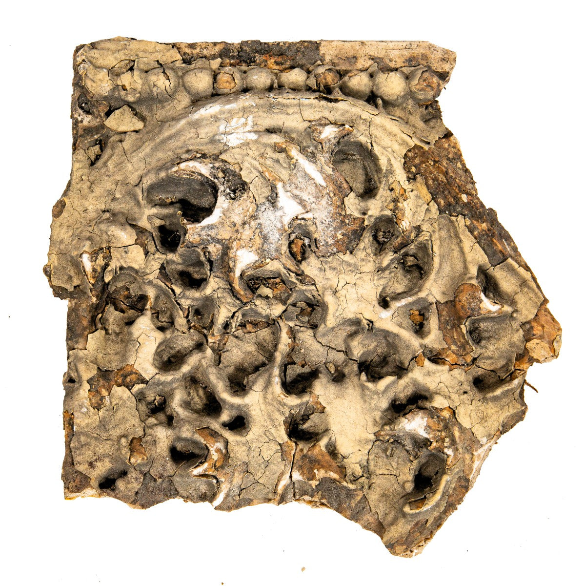 original 1892 frank lloyd wright-designed exterior painted staff panel salvaged from adler and sullivan's victoria hotel