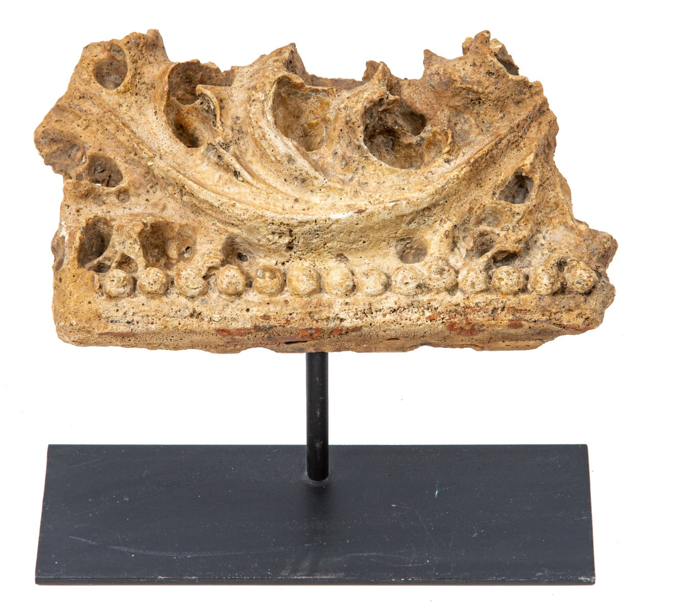 original early 1890s adler and sullivan-designed victorian hotel exterior richly ornamented staff panel fragment