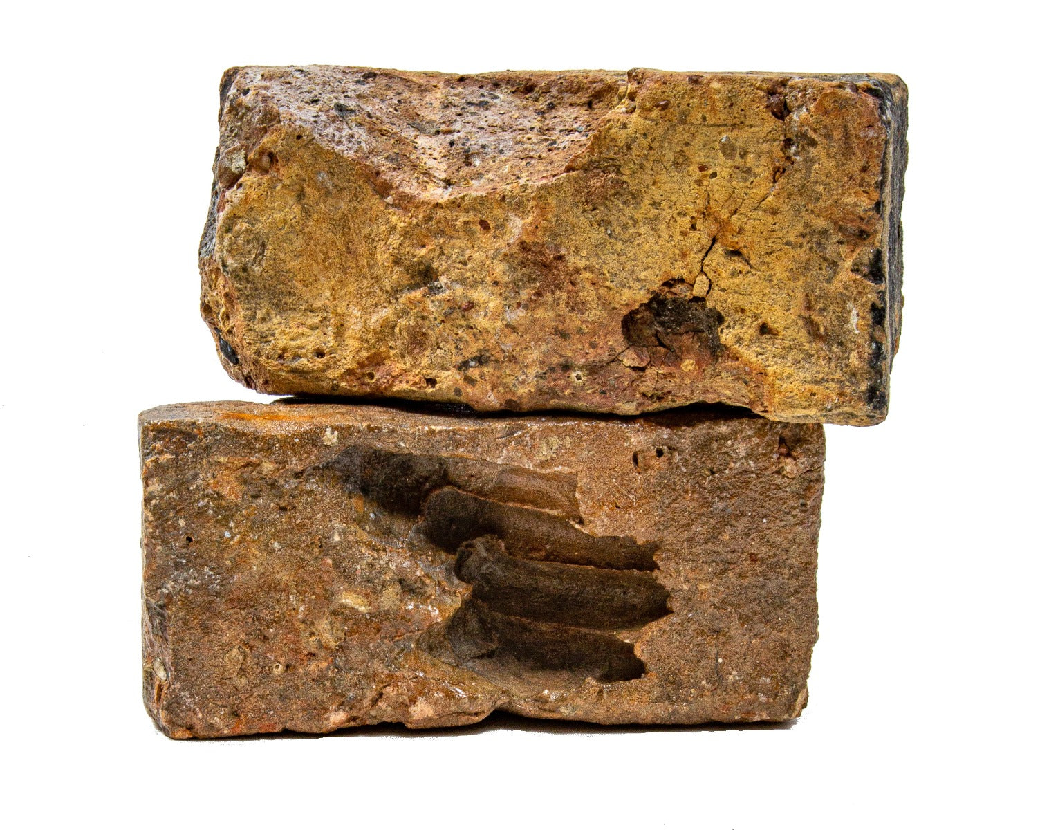 two pre-chicago fire 1860s common bricks from demolished historically important downtown chicago commerical buildings