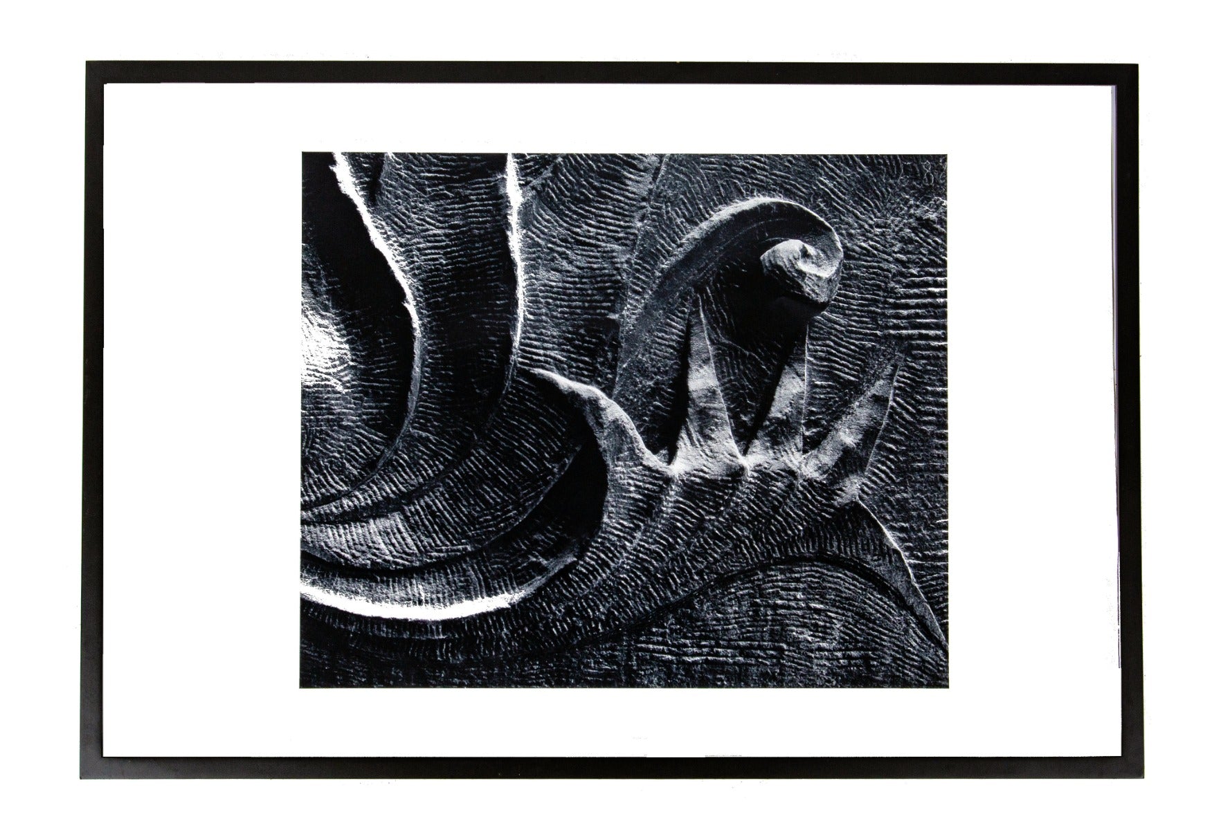 oversized reprint of aaron siskind's photographic image of adler and sullivan's walker warehouse taken in 1953