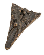 original 19th century louis h. sullivan-designed terra cotta schiller or garrick theater building ornament