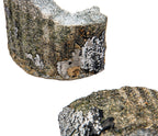 original salvaged hemacite concrete fragments from the unusual house of david hotel