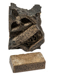 original hugh garden-designed 1907-8 exterior michael reese hospital speckled terra cotta spandrel and face brick