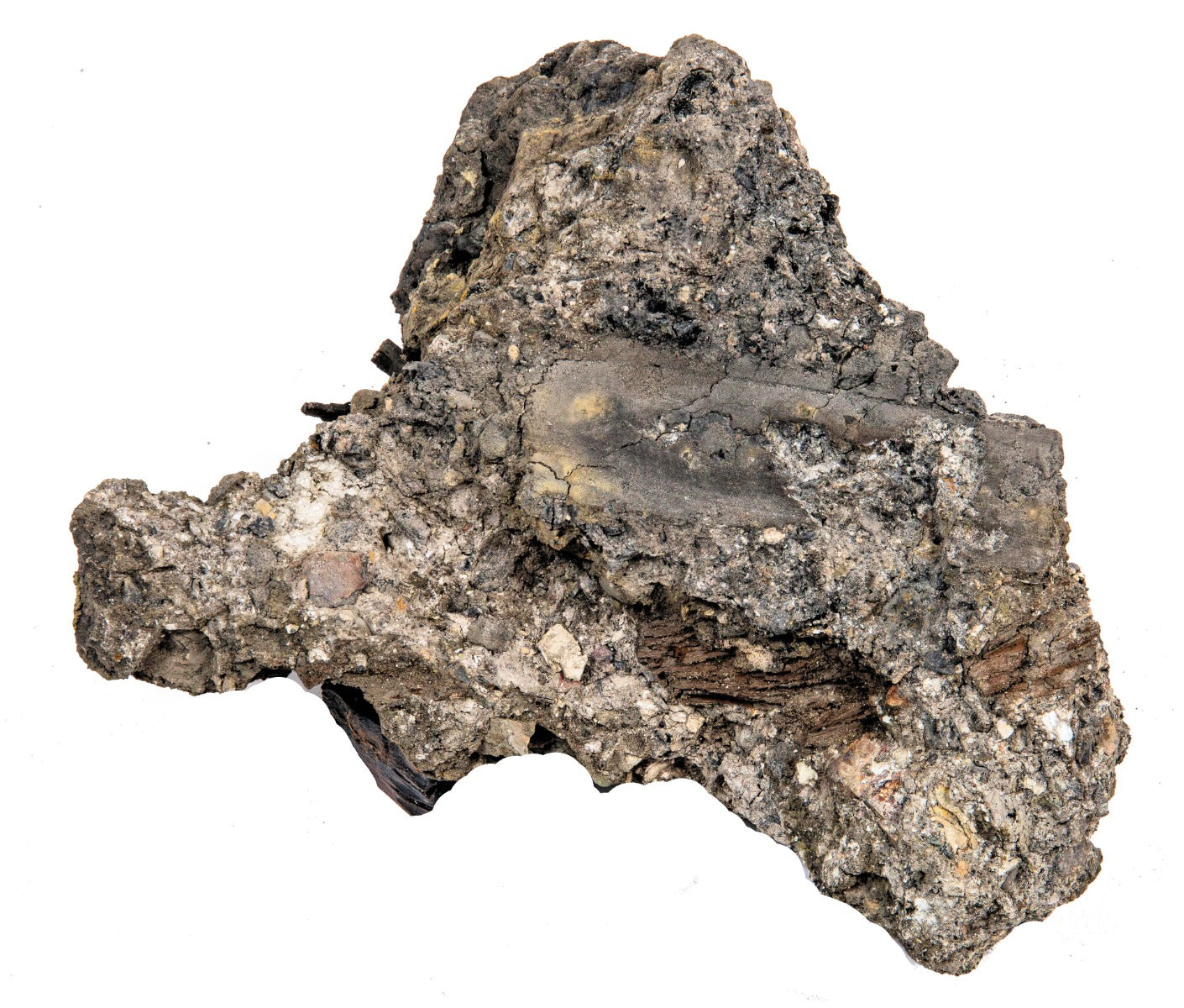 1860s-1870s chicago privy-dug pine tree tar "philly green" glass cordial medicinal bottle