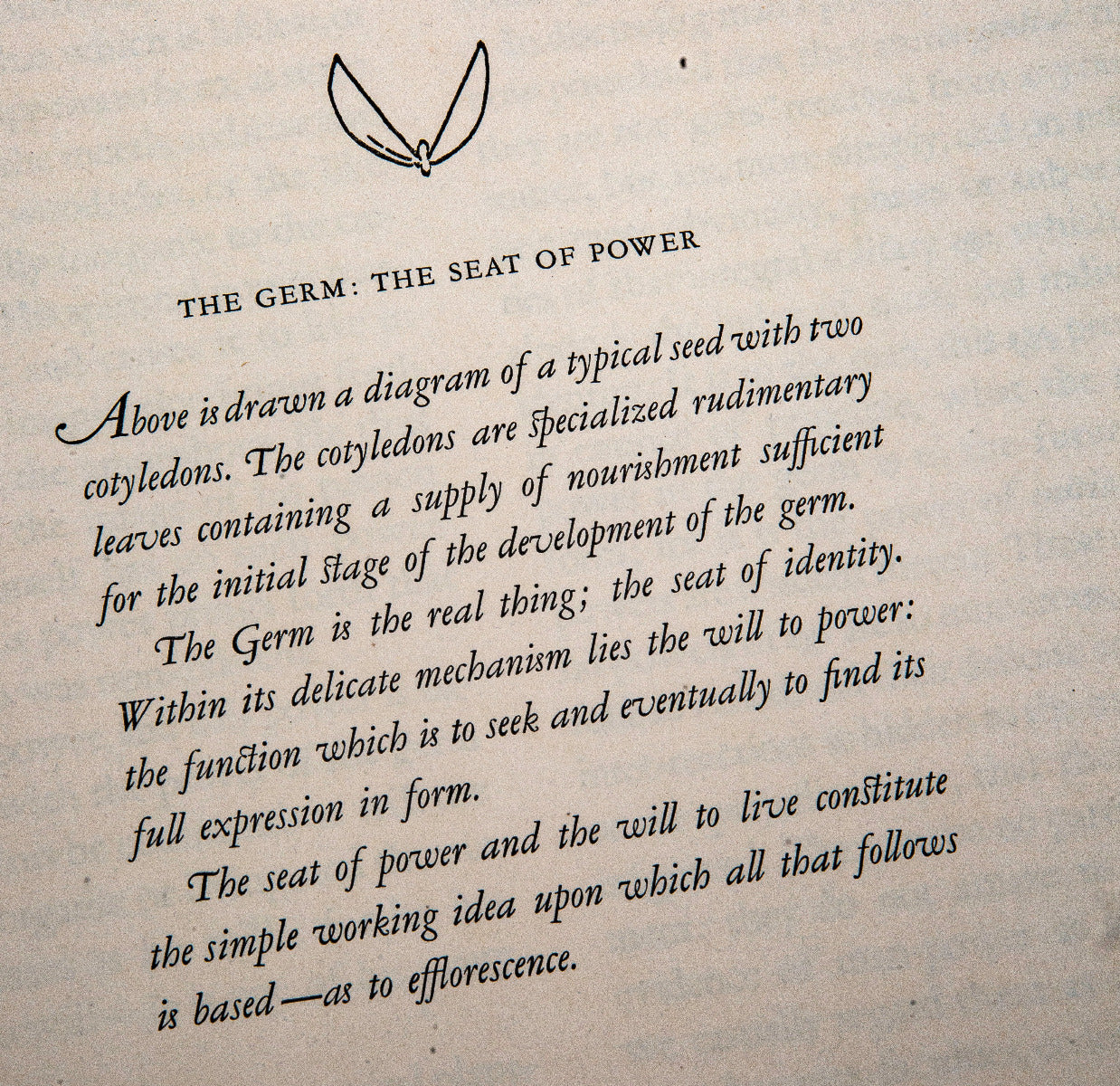 rare 1924 first edition  louis sullivan's "a system of architectural ornament" published in 1924 by the american institute of architects