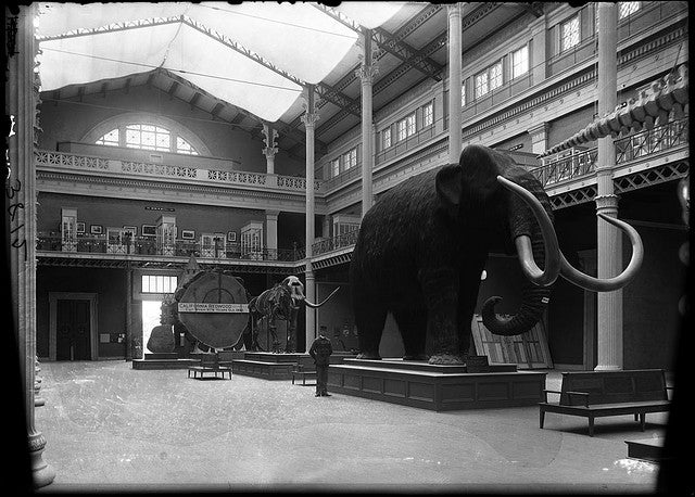 original c. 1920's american single-sided reverse painted glass chicago field museum of natural history "exhibition room" sign with oak wood frame