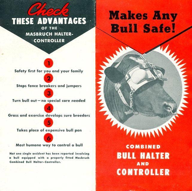 refinished vintage american industrial 1930's reinforced leather and steel patented bull halter and controller