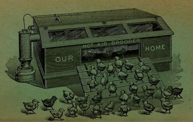 early 20th century american all original antique industrial freestanding galvanized steel hot air incubator or brooder with intact red-painted wood frame and hinged doors