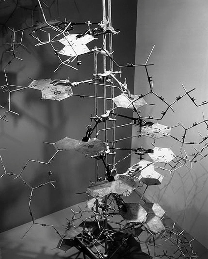 original c. 1960's vintage medical school classroom demonstration model depicting a three dimensional double helical structure of a nucleic acid complex