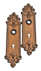original and intact late 19th century copper-plated cast iron "pasco" pattern ornamented doorknob backplates salvaged from a chicago two-flat residence