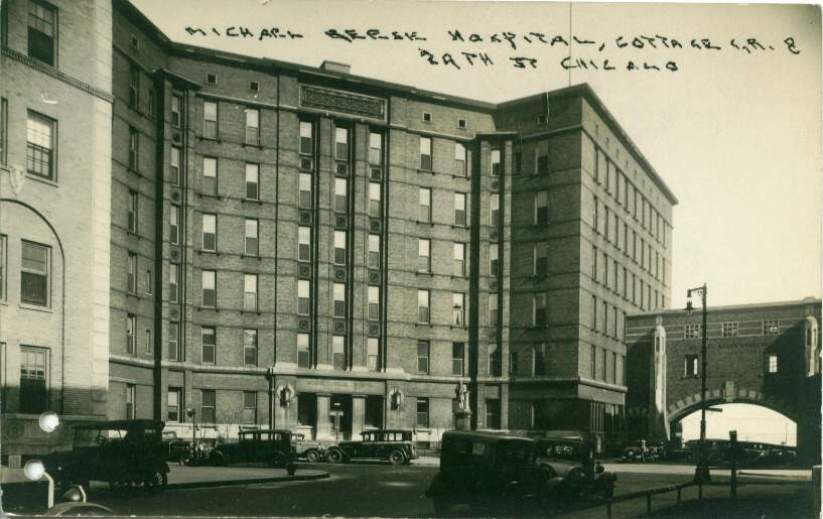 original 20th century american michael reese hospital "main building" exterior speckled stringer course fragment featuring intricately designed floral rosettes