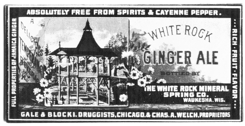 nice assortment of original late 19th and early 20th century original chicago privy-dug druggist bottles with bold and deeply embossed markings