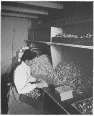 nice assortment of original late 19th and early 20th century original chicago privy-dug druggist bottles with bold and deeply embossed markings