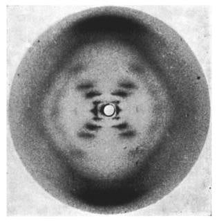 original c. 1960's vintage medical school classroom demonstration model depicting a three dimensional double helical structure of a nucleic acid complex