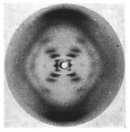 original c. 1960's vintage medical school classroom demonstration model depicting a three dimensional double helical structure of a nucleic acid complex