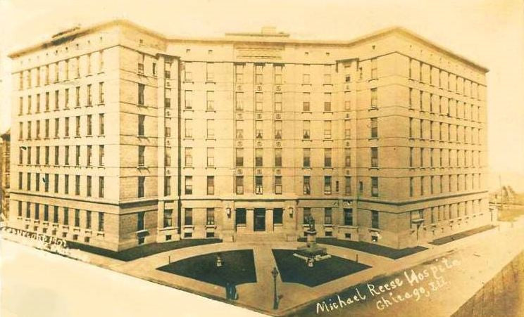 original c. 1907 exterior michael reese hospital "gardenesque" terra cotta building facade frieze fragment