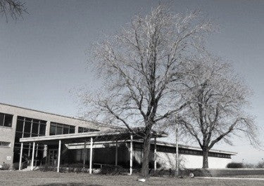 early 1950's varnished birch wood veneer michael reese hospital "surgery preparation" serum center laboratory door with round portal