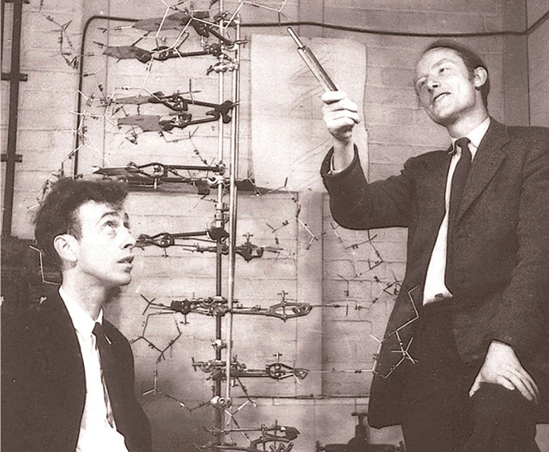 original c. 1960's vintage medical school classroom demonstration model depicting a three dimensional double helical structure of a nucleic acid complex
