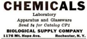 c. 1910-20 vintage medical freestanding scientific laboratory bench retort stand with ring clamps
