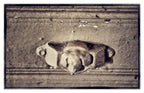 matching lot of original hard to find 19th century ornamental cast iron interior residential built-in cabinet "doggie" drawer pulls from a chicago two-flat house